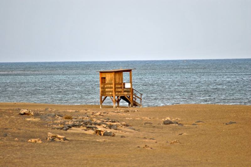 DSC_0164 (Copy).jpg