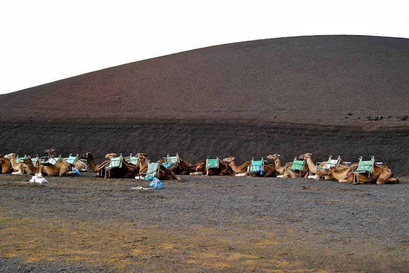 053 (Copy).jpg