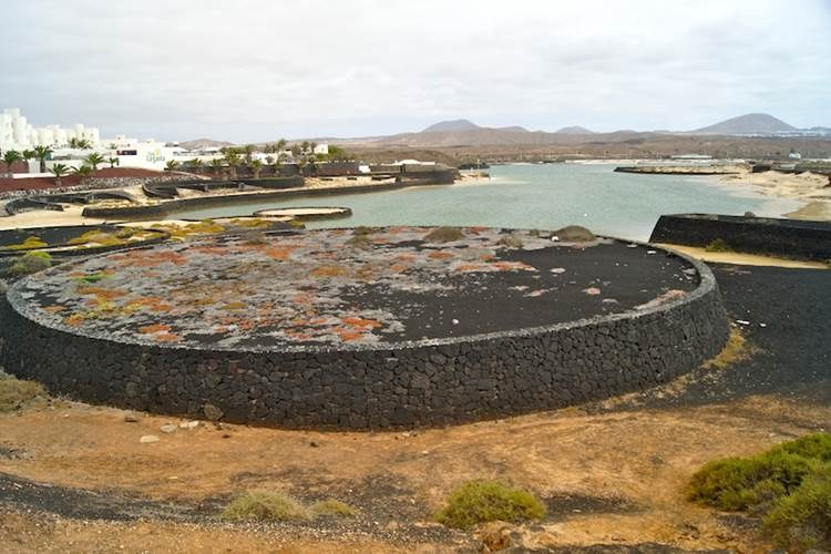 DSC03477 (Copy).jpg
