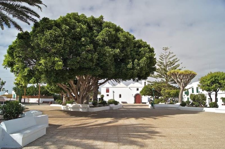 DSC03478 (Copy).jpg