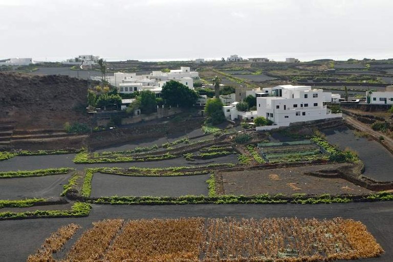 DSC03490 (Copy).jpg