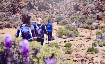 Teide National Park Hiking Trip