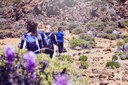 Hiking in the moonlike landscape of Teide National Park.jpg