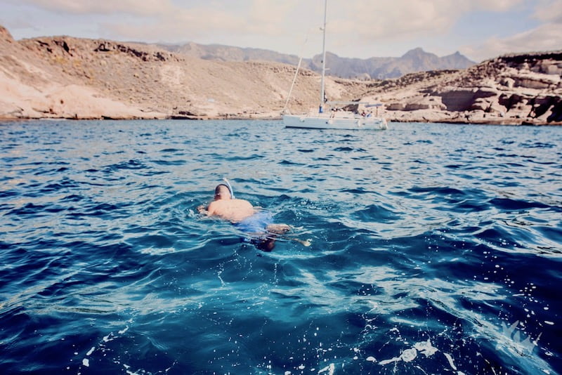Whalewatching with swimming and snorkel-min.jpg
