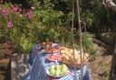 Freshly prepared picnic lunch.jpg