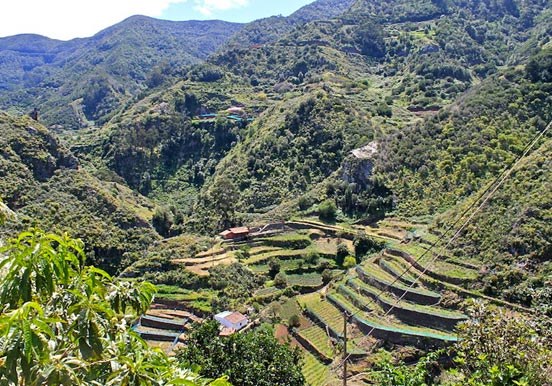 hike through El Batan route in Tenerife