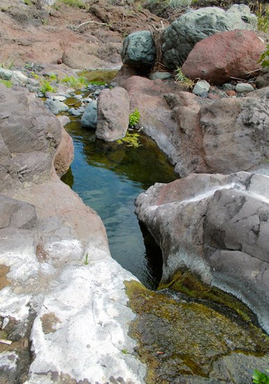 hiking through traces of volcanoes in Anaga
