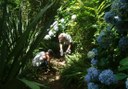 Mountain bike tour through Anaga forests