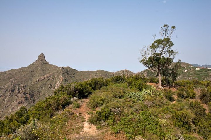 O-Anaga-112.jpg
