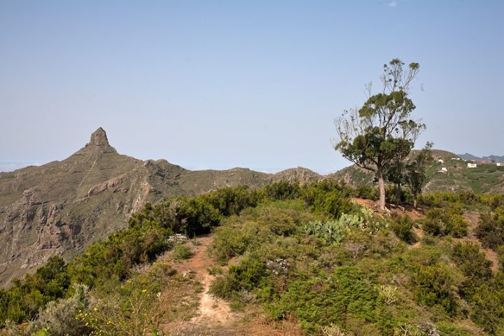 O-Anaga-112.jpg