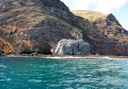 explore along Tenerife coast via water taxi
