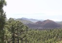 quad tour in Masca