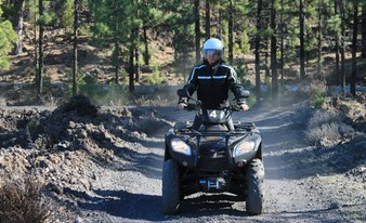 2.5h Discover Teide Forest Quad Safari