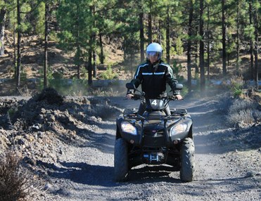 2.5h Discover Teide Forest Quad Safari
