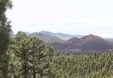 quad buggy adventure in Teide forest
