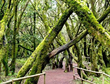 La Gomera Bus Tour (south pick-up)