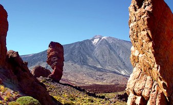 Teide - Loro Parque Bus Tour