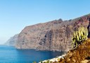 witness the views of Los Gigantes via island tour