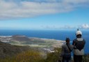 quad adventure in Tenerife