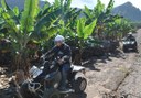 quad ride in Tenerife