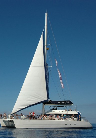 Freebird one catamaran sail
