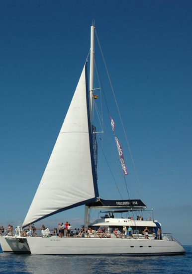 Freebird one catamaran sail