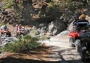 Tenerife quad safari forest trail.jpg