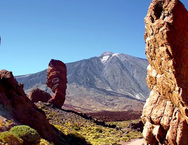 Teide - Loro Parque Bus Tour
