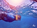 Tenerife snorkelling tour with transfer and picnic lunch.jpg