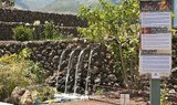 botanical garden at Pirámides de Güímar