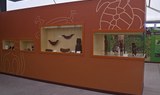 Easter Island exhibition at Pirámides de Güímar