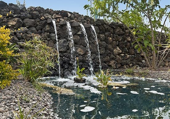 Pirámides de Güímar botanical
