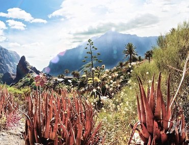 Hiking Trips