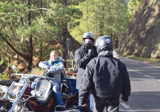 Pine forest of teide trike tour.JPG