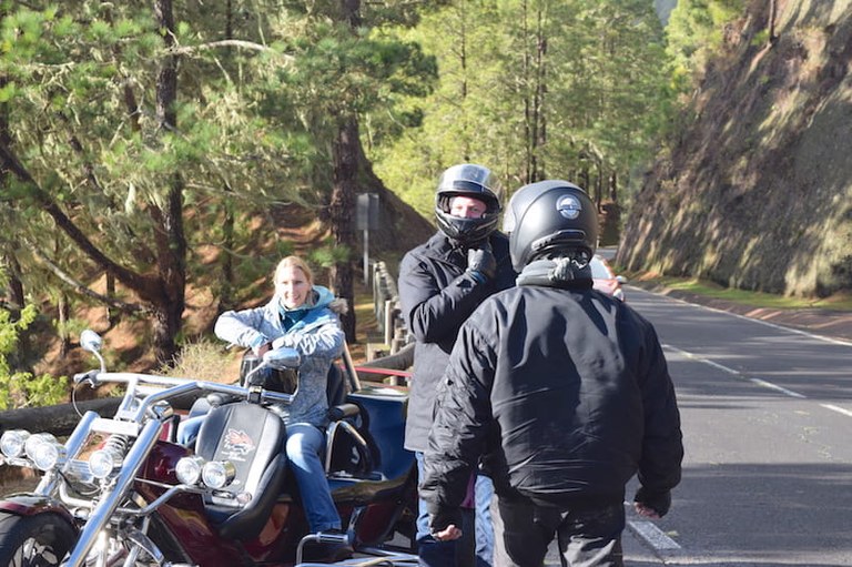 Pine forest of teide trike tour.JPG