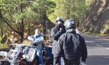 Pine forest of teide trike tour.JPG