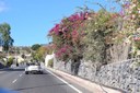 La Gomera scenic trike tour.JPG