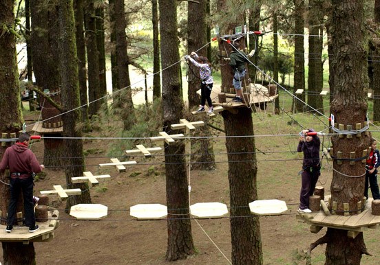 fun outdoor adventure at Forestal Park treetops