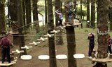 fun outdoor adventure at Forestal Park treetops