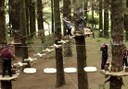 fun outdoor adventure at Forestal Park treetops