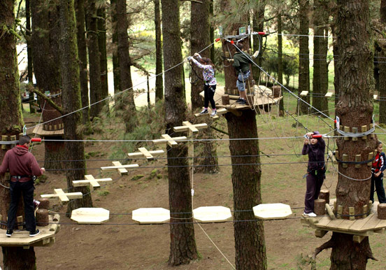 fun outdoor adventure at Forestal Park treetops