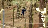 outdoor activities at Forestal Park in Tenerife