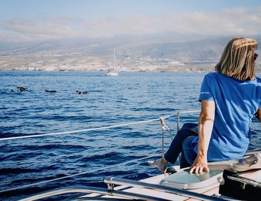Boat Tours