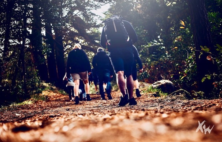 Hiking in the laurisilva forest in Tenerife.jpg