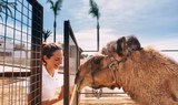 camel ride at La Granja Verde in Tenerife