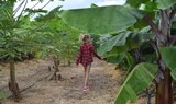 fruit orchard at La Granja Verde in Tenerife