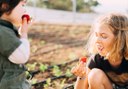 strawberry farm at La Granja Verde in Tenerife