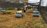 paintball game in Orotava
