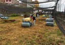 paintball game in Orotava