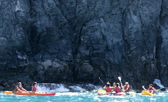 Dolphin Kayaking tour in Palm Mar (2h)